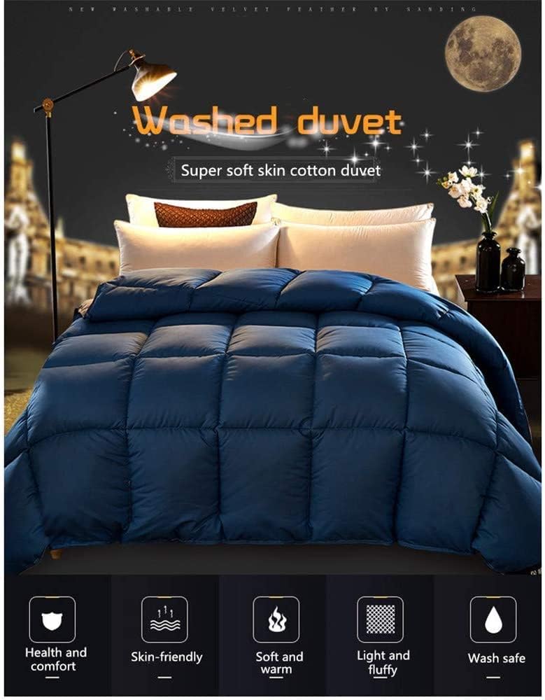 ２０１９ ラグビーワールドカップ プレミアムシートノベルティ 2019 ラグビーワールドカップ プレミアムシートノベルティ